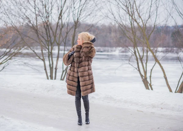 美丽优雅的女士 自然穿着毛皮大衣 秋冬季节 容貌迷人 — 图库照片