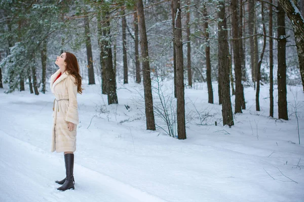 Feriados Dias Natal Tempo Inverno Mulher Férias Passeio Livre Menina — Fotografia de Stock