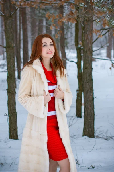 Feiertage Weihnachten Winterzeit Frau Urlaub Spazieren Freien Mädchen Warmen Modischen — Stockfoto