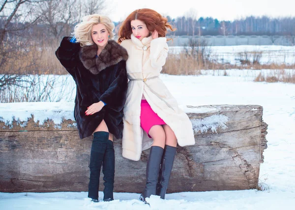 Najlepsze Przyjaciółki Świecie Dwie Miłe Dziewczyny Spędzają Razem Czas Śnieżnym — Zdjęcie stockowe
