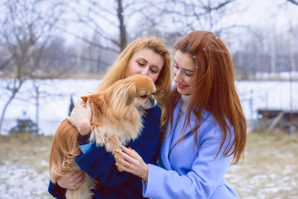 Due Giovani Amiche Alla Moda Insieme Piedi Ritratto Due Belle — Foto Stock