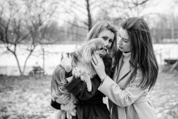 Two young stylish girls friends together on walk. Portrait of a two nice women talking outdoors in winter or spring park