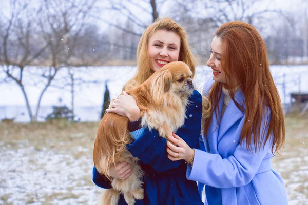 Two young stylish girls friends together on walk. Portrait of a two nice women talking outdoors in winter or spring park