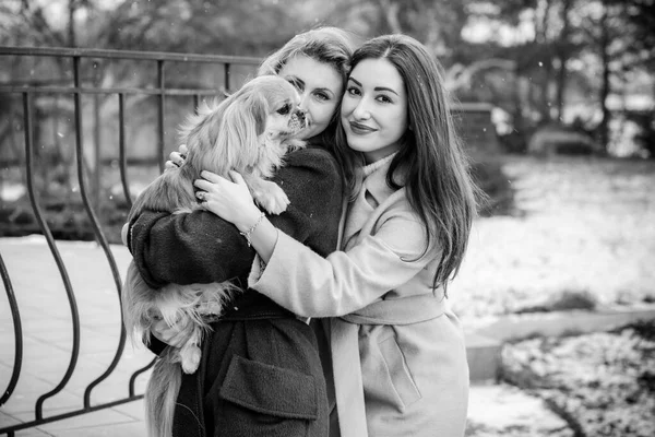 Duas Meninas Elegantes Jovens Amigos Juntos Caminhada Retrato Duas Mulheres — Fotografia de Stock