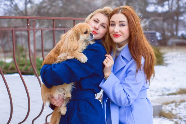 Dos Chicas Jóvenes Con Estilo Amigos Juntos Paseo Retrato Dos —  Fotos de Stock