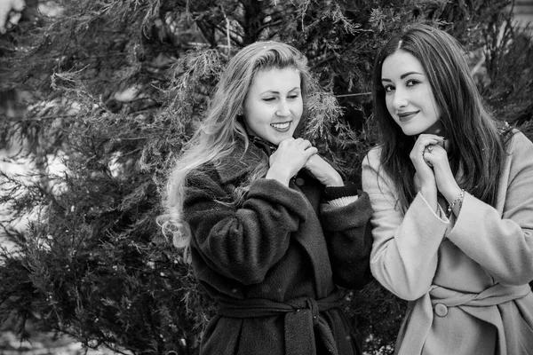 Dos Chicas Jóvenes Con Estilo Amigos Juntos Paseo Retrato Dos — Foto de Stock