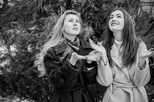 Två Unga Stilrena Tjejkompisar Tillsammans Promenad Porträtt Två Trevliga Kvinnor — Stockfoto