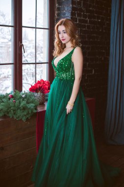 Akşam giysili bir kadın. Holly Eve 'de oldukça hoş bir bayan. Güzel elbiseli kadın. 