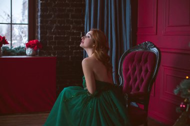 Akşam giysili bir kadın. Holly Eve 'de oldukça hoş bir bayan. Güzel elbiseli kadın. 