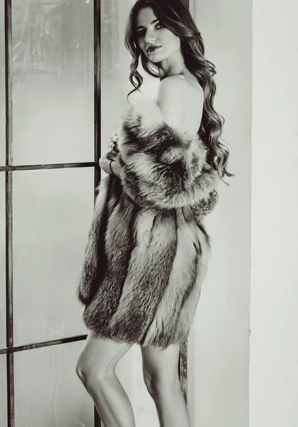 Νέοι Σέξι Ξανθιά Κυρία Μαλλιά Ζεστή Ζεστή Ατμόσφαιρα Λευκό Vintage — Φωτογραφία Αρχείου
