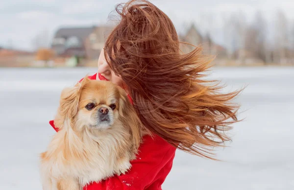 Woman pet owner walking at winter with her dog. Young lady with Pekingese dog walking. Tender feeling with a dog