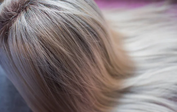 Parrucche Capelli Naturali Sintetici Concetto Bellezza Femminile Close Foto Parrucca — Foto Stock