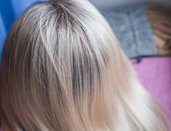 Varkens Natuurlijk Synthetisch Haar Het Schoonheidsconcept Voor Vrouwen Close Foto — Stockfoto