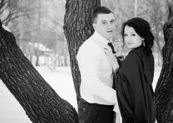 Casal Feliz Divertindo Abraçando Livre Snow Park Tempo Mágico Inverno — Fotografia de Stock