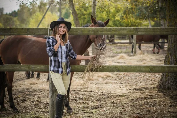 Concepto Granja Caballos Pasatiempo Jinete Mujer Hablando Con Caballo Ecoturismo — Foto de Stock