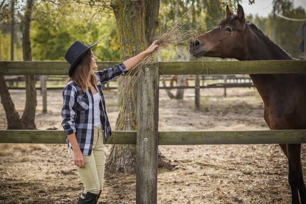 Paardenboerderij Concept Hobby Ruiter Vrouw Praat Met Een Paard Eco — Stockfoto