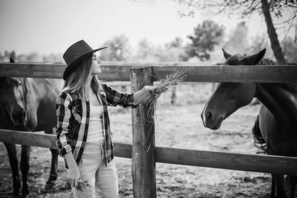 Concepto Granja Caballos Pasatiempo Jinete Mujer Hablando Con Caballo Ecoturismo — Foto de Stock