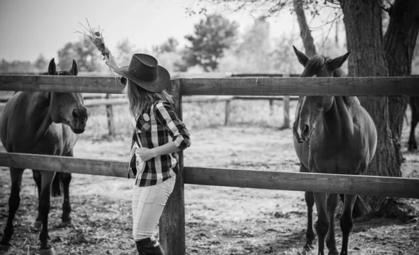 Paardenboerderij Concept Hobby Ruiter Vrouw Praat Met Een Paard Eco — Stockfoto