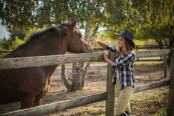 Conceito Fazenda Cavalos Hobby Cavaleiro Mulher Conversa Com Cavalo Eco — Fotografia de Stock