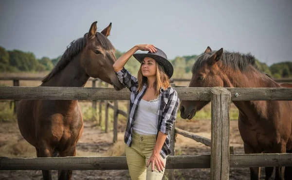 馬の農場の概念は ライダー 女性は馬と話します エコツーリズム — ストック写真