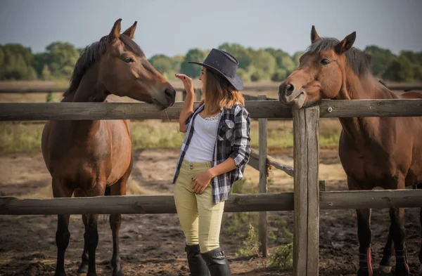 馬の農場の概念は ライダー 女性は馬と話します エコツーリズム — ストック写真