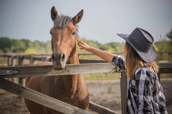 Koncepcja Hodowli Koni Hobby Jeździec Kobieta Rozmawia Koniem Eko Turystyka — Zdjęcie stockowe