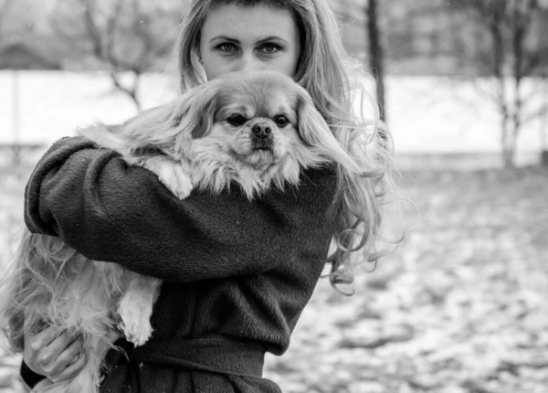 Nette Junge Frau Beim Spaziergang Mit Ihrem Hund Park Beste — Stockfoto