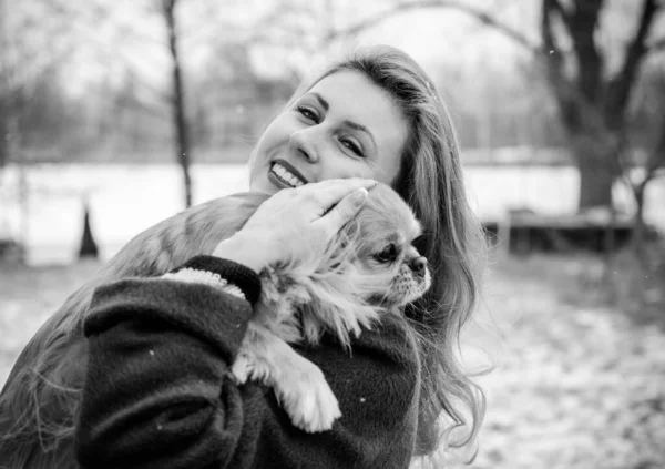 公園で休んでいる犬と散歩している素敵な若い女性 最高の友情の女の子とシニア犬 犬の所有者の心理 — ストック写真