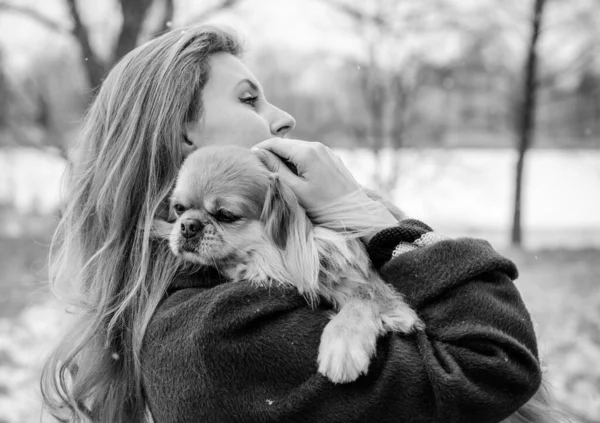 Nette Junge Frau Beim Spaziergang Mit Ihrem Hund Park Beste — Stockfoto