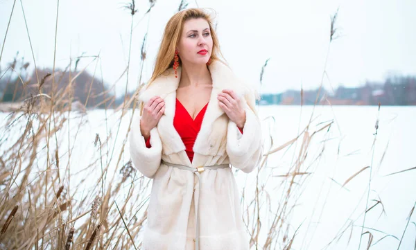 冬休みのコンセプト インスピレーションと妖精の寒い時間 暖かいスタイリッシュな服の女性 素敵な女性の屋外 旅行や冒険の休日 雪のクリスマスの時間 — ストック写真