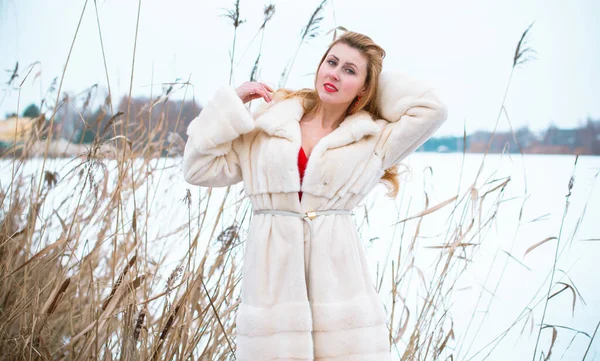 冬休みのコンセプト インスピレーションと妖精の寒い時間 暖かいスタイリッシュな服の女性 素敵な女性の屋外 旅行や冒険の休日 雪のクリスマスの時間 — ストック写真