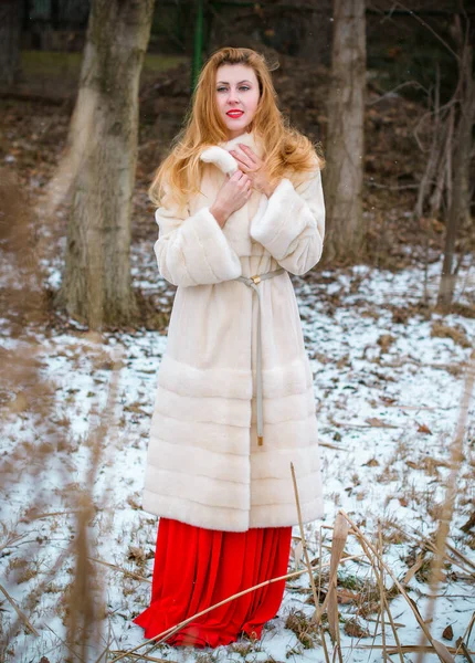 Conceito Férias Inverno Inspiração Tempo Frio Fadas Mulher Roupas Quentes — Fotografia de Stock