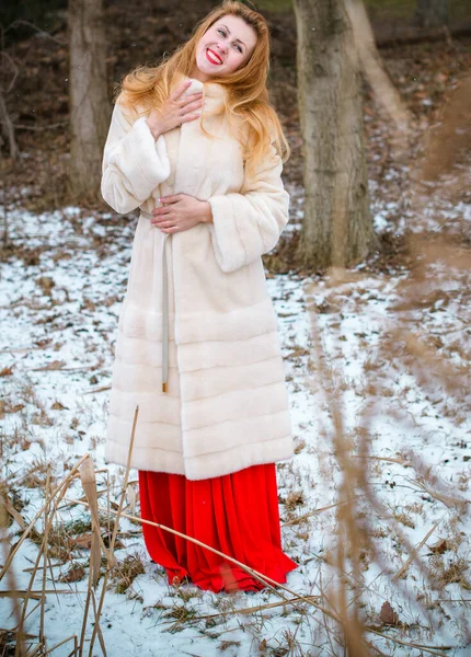 Conceito Férias Inverno Inspiração Tempo Frio Fadas Mulher Roupas Quentes — Fotografia de Stock