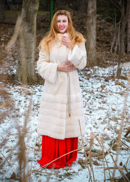 Conceito Férias Inverno Inspiração Tempo Frio Fadas Mulher Roupas Quentes — Fotografia de Stock