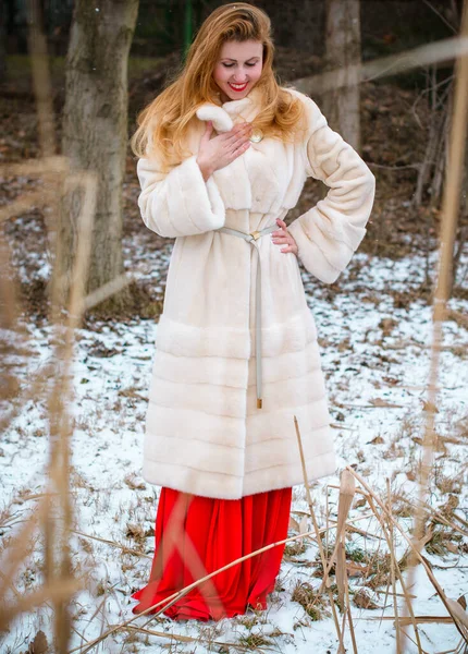 Conceito Férias Inverno Inspiração Tempo Frio Fadas Mulher Roupas Quentes — Fotografia de Stock