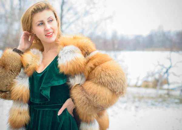 Elegante Signora Uno Stile Vintage Vestiti Vestita Con Vestito Velluto — Foto Stock