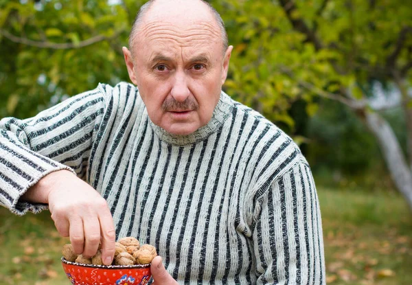 Hombre Mayor Jardín Con Plato Nueces Muestra Cosecha Tienen Buen — Foto de Stock