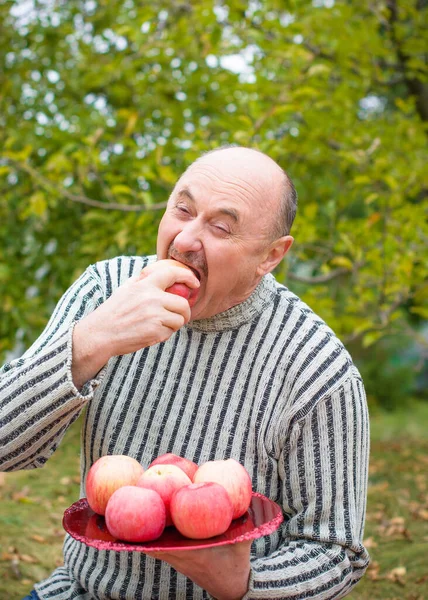 Hombre Mayor Jardín Con Plato Manzanas Muestra Cosecha Divertirse Buen — Foto de Stock