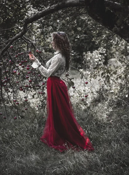 Frau Viktorianischer Romantik Damenkostüme Mittelalterliche Gotische Spitzenbekleidung — Stockfoto