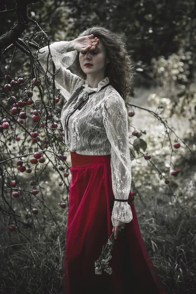 Viktorya Dönemi Romantizmli Kadın Bayanlar Için Kostümler Ortaçağ Gotik Dantel — Stok fotoğraf