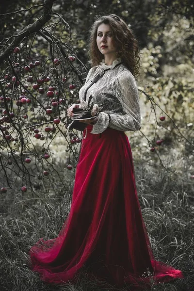 Vrouw Victoriaanse Romantiek Kostuums Voor Dames Middeleeuwse Gotische Kanten Kleding — Stockfoto