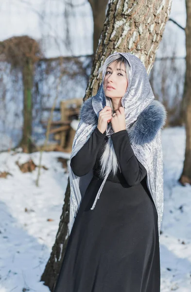 Scène Conte Fées Arctique Femme Regard Fantasmé Froid Cheveux Argentés — Photo