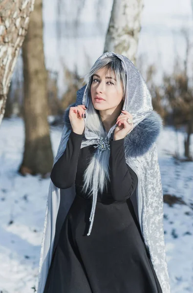 Fairy Tale Scene Arctic Woman Cold Fantasy Look Silver Hair — Stock Photo, Image