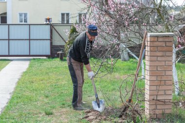 Bahar bahçesindeki adam. Bahçedeki son sınıf öğrencisi, adam hobisini seviyor, bahçede çalışıyor.