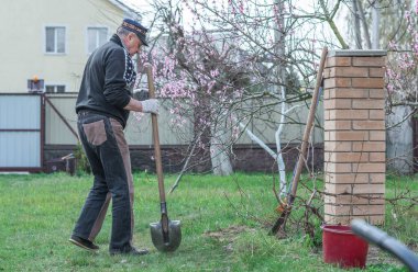 Bahar bahçesindeki adam. Bahçedeki son sınıf öğrencisi, adam hobisini seviyor, bahçede çalışıyor.