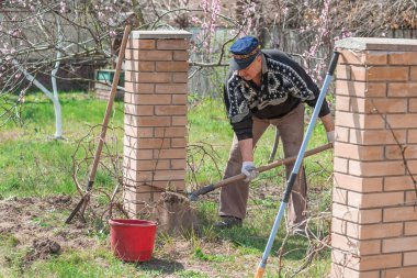 Bahar bahçesindeki adam. Bahçedeki son sınıf öğrencisi, adam hobisini seviyor, bahçede çalışıyor.