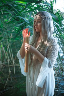 Efsaneler, yaratıklar ve peri masalları için resimli fotoğraf. Nemfomanla mistik sahne