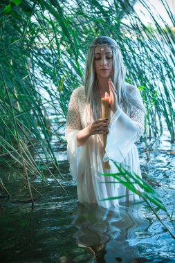 Efsaneler, yaratıklar ve peri masalları için resimli fotoğraf. Nemfomanla mistik sahne