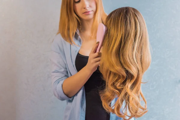 Perücken Synthetische Und Natürliche Haare Schönheitskonzept Für Frauen — Stockfoto