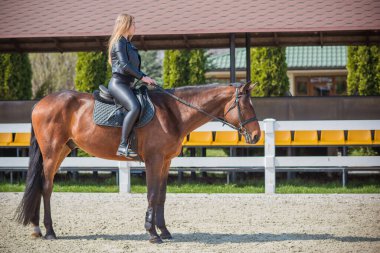 Bahar - yaz mevsimi, hobi konsepti, at süren kadın, insan ve hayvan ilişkisi.